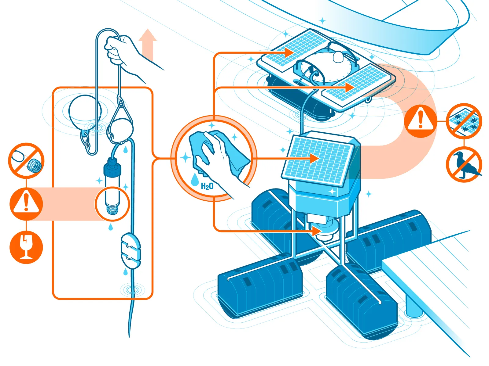 Infographic detailing the maintenance process of feeding systems used in shrimp farming.